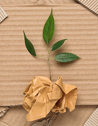 Albert&Co-Eco Conception