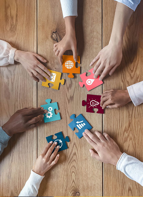 Albert&Co - Collaboration et partenariat fournisseurs